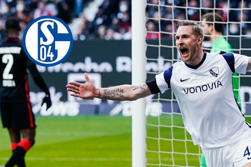Neuer Stürmer für Königsblau! Schalke 04 bedient sich beim Ruhrpott-Rivalen