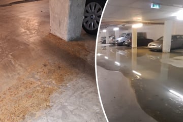 Dresden: Riesige Kot-Pfütze in Tiefgarage: Schäden durch Bauarbeiten auf Königsbrücker Straße?