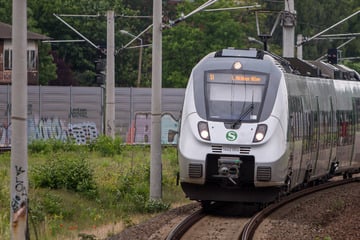 Auf Strecke von Halle nach Leipzig: Frau wird von Zug erfasst