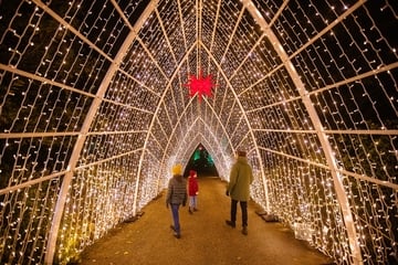 Hamburg: "Christmas Garden" bringt Loki-Schmidt-Park zum Leuchten!