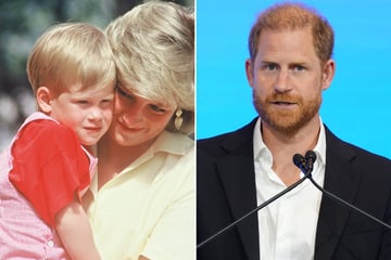Prince Harry admits he feared his royal role after Diana's death: "It killed my mum"