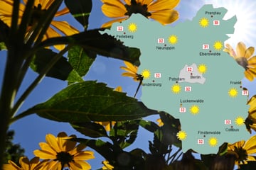 Hitzewelle in Berlin und Brandenburg: Bis zu 37 Grad, dann kommen Gewitter