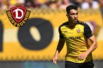 Dynamo-Dresden-Blog: Darum darf SGD-Profi Kammerknecht vom nächsten Coup träumen!