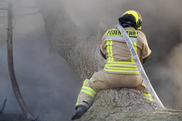 Leipzig: Unterirdischer Brand in Waldstück sorgt für Großeinsatz der Feuerwehr