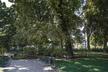 Dresden: Vorsicht! Am Zwingerteich herrscht Lebensgefahr