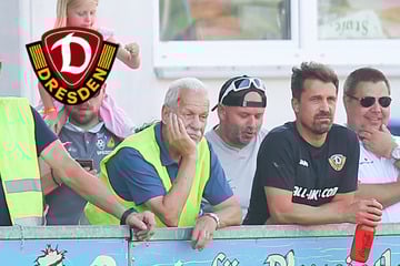 Sieg im Test-Kampf gegen Ried: Stamm fliegt runter, Dynamo sticht spät zu