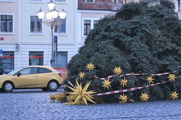 Zehn Meter hoher Weihnachtsbaum auf Altmarkt abgesägt - 2000 Euro Schaden