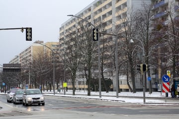 Für die Campuslinie werden Bäume gefällt