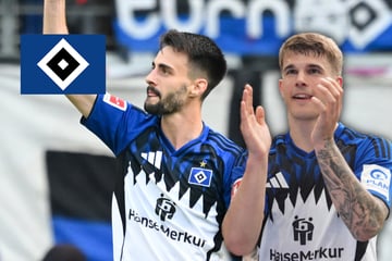 HSV-Blog: Geht Vuskovic zu diesem Verein? Premier-League-Klub soll um Vieira buhlen
