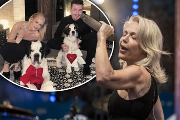 Vom Tourbus ins echte Leben: So geht es für Schlagerstar Michelle nach dem Karriere-Aus weiter