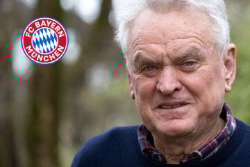 "Einfach nur dumm": Torwart-Legende Maier schießt gegen Hoeneß-Kritiker