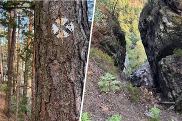20-Meter-Sturz in Sächsischer Schweiz: Wanderer hat doppelt Glück