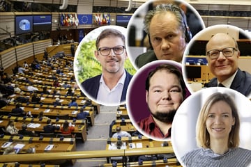 "Team Sachsen" in Brüssel - sie sitzen für uns im EU-Parlament