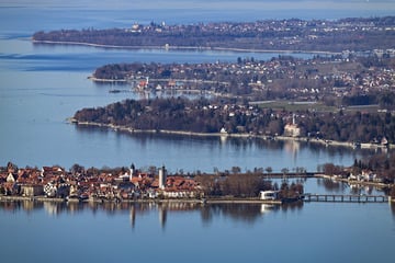 Blaualgen in Seitenarm von Bodensee: Gefahr für Menschen und Hunde