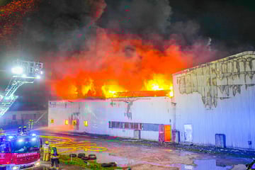 Lagerhalle brennt aus: Schaden geht in die Millionen