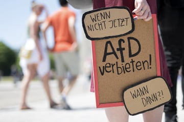 Grüne fordern AfD-Verbot: "Warum zögern wir noch?"