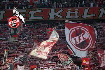 Kampf gegen Kauf-Bots: 1. FC Köln führt strengere Regeln beim Ticketverkauf ein