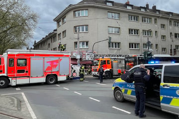 Radfahrerin tödlich erfasst: Polizei sucht Zeugen nach schwerem Unfall in Kölner Innenstadt