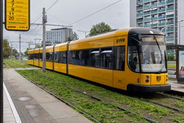 Sind Dresdens Straßenbahnen oft zu "kriecherisch"?