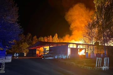 Großbrand in Sägewerk: Lagerhallen werden zerstört