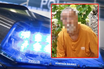Dank Fährtenhund: Polizei findet vermissten Senior in Waldgebiet