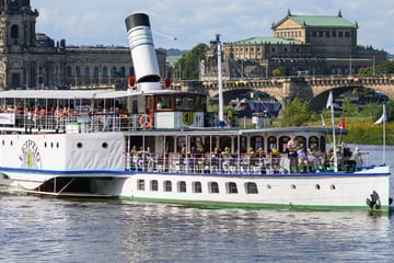 Dresden: 10 Fragen zur Dresdner Dampfschifffahrt: Käpt'n oder Landratte?