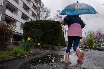 Nasskaltes Wetter zum Wochenstart, doch es gibt einen Lichtblick