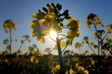 Ist der Frühling gekommen, um zu bleiben? So wird das NRW-Wetter