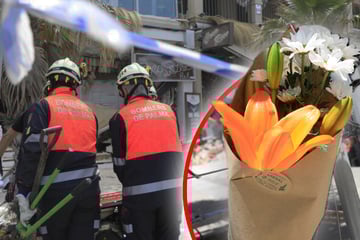 Vier Tote bei Club-Einsturz auf Mallorca: Betreiber weist Schuld von sich