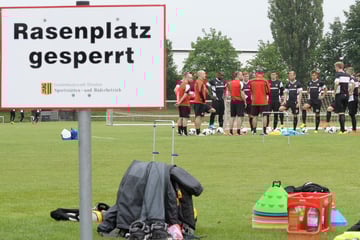 Dresden: Rathaus plant biodiverse Plätze: Werden Sportler bald beim Training zerstochen?