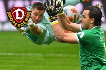 Torhüter-Frage bei Dynamo: Wer wird die neue Nummer eins?