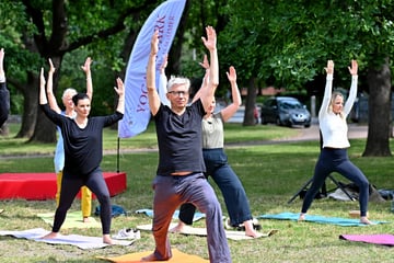 Dresden: Jetzt gibt's in Dresden wieder Yoga im Park - gratis