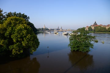 Hochwasser in Dresden: Scheitelpunkt erreicht!