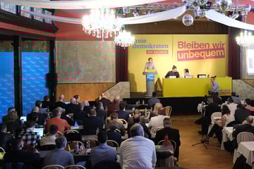 Sachsens FDP will wieder in den Landtag: Mit diesen Ideen soll das klappen