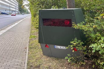 Aus dem Gebüsch auf Raser-Jagd: Superblitzer lauert an neuer Stelle