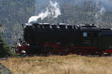 Trotz vieler Fahrgäste und gutem Umsatz: Schmalspurbahnen im Harz kämpfen mit hohen Kosten