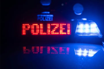 Illegaler Rave im Naturschutzgebiet: Polizei löst Party mit 300 Leuten auf