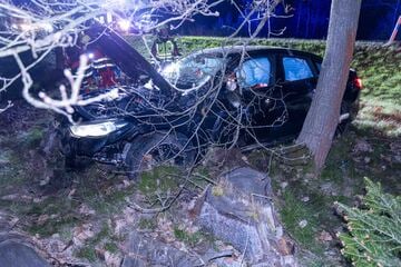 Unfall beim Überholen: BMW landet zwischen Bäumen