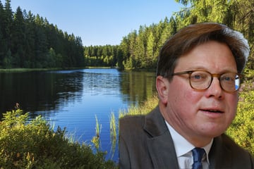Dresden: Darum reden Umweltminister über Walstrandungen in Leipzig