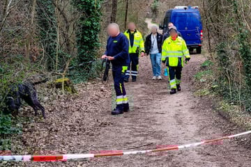 Polizei steht vor Rätsel: Bewusstlose Frau mit Kopfverletzungen in Waldstück entdeckt