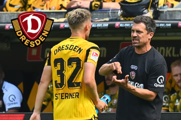 Wie Dynamo-Coach Stamm den knappen Heimsieg gegen Darmstadt bewertet