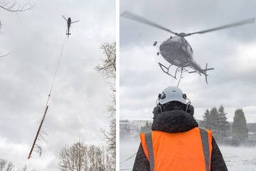 Hubschrauber holt die toten Fichten aus der Kirnitzschtalklamm