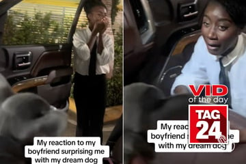 Viral Video of the Day for September 1, 2024: Man surprises girlfriend with dream dog after hard day at work