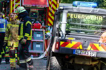 Rund 1000 Quadratmeter in Flammen: Waldbrand zwischen Hessen und Bayern