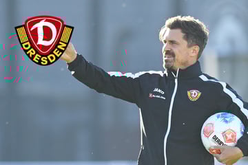 Winter-Transfers bei Dynamo schon längst eingetütet? Thomas Stamm lässt aufhorchen