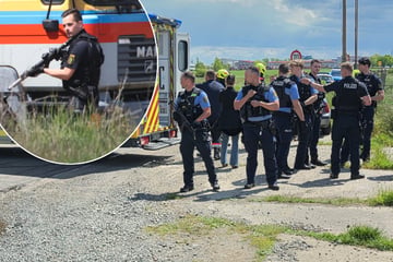 Leipzig: Tigerangriff im Leipziger Westen! Mann verletzt, Tier erschossen