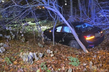 Fahrer versteckt sich nach Unfall im Kofferraum: Dann kommt es noch dicker