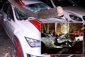 S-Bahn crashes into tree, house roof flies on car: hurricane low 