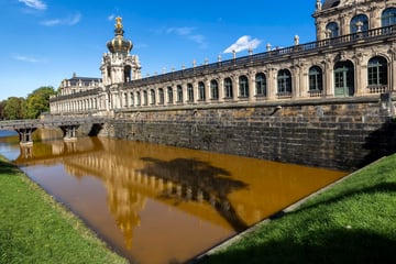 Dresden: Was hat den Zwingerteich verfärbt? Laborergebnisse liegen vor