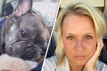 Moderatorin macht sich große Sorgen: Hund Charly hat seltene Erkrankung
